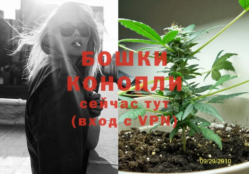 сколько стоит  Няндома  Бошки марихуана Ganja 